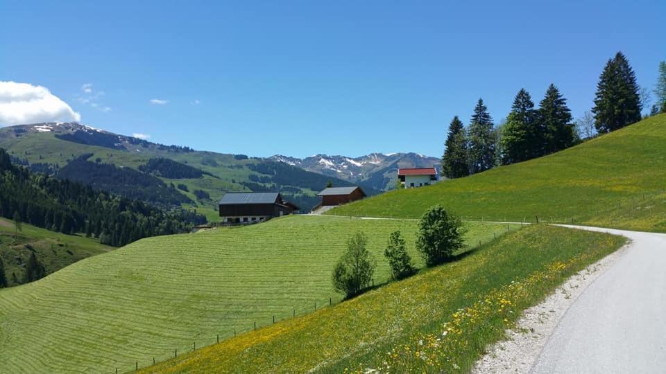 Haus Am Sonnberg Villa Maria Alm am Steinernen Meer Ngoại thất bức ảnh